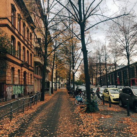 Von Bäumen gesäumte Stadtstraße im Herbst: orangebraunes Laub auf Geh- und Radweg, links Backstein-Altbau mit Graffiti, rechts geparkte Autos und Fahrräder, bedeckter Himmel, ruhige Szene