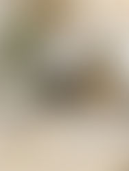 Invierno para el valor de las startups y el sector en general…