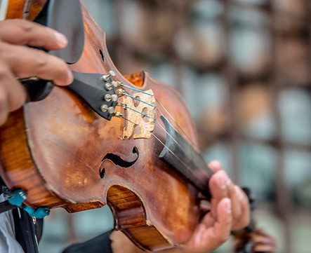Violin