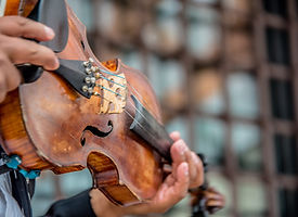 violon