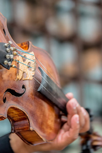 Violin