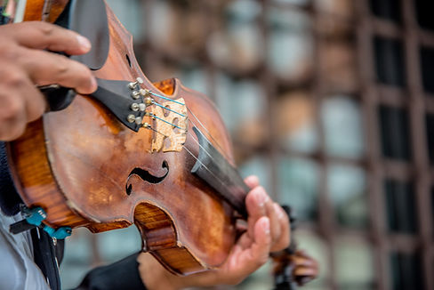 Violin