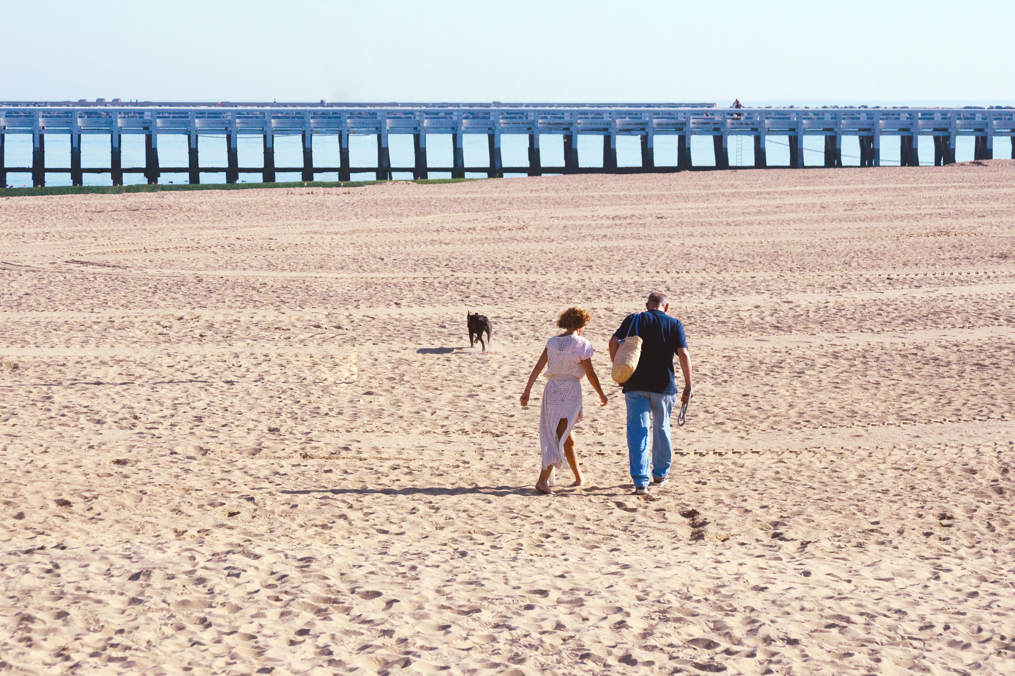 Wide coastline view of Irvine Beach with dogs running in the distance