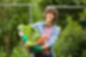 Woman farmer collecting her sustainable local produce