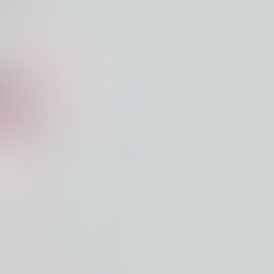 The Loneliness of Pruning