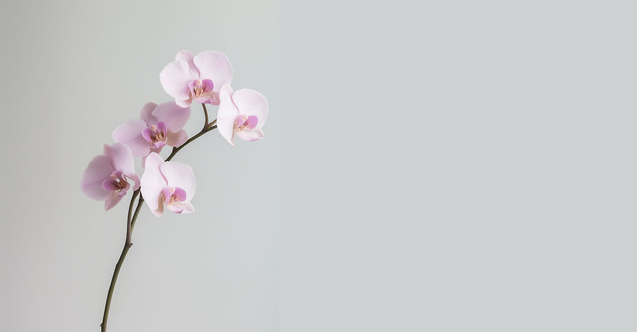 ピンクの蘭の茎