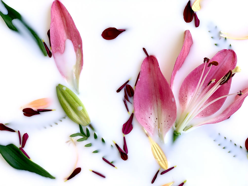 Pink Flowers Arrangement