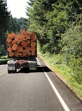 Truck Carrying Logs