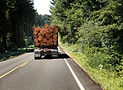 Truck Carrying Logs
