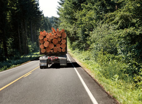 Un camion qui transporte du bois en haute Mauricie