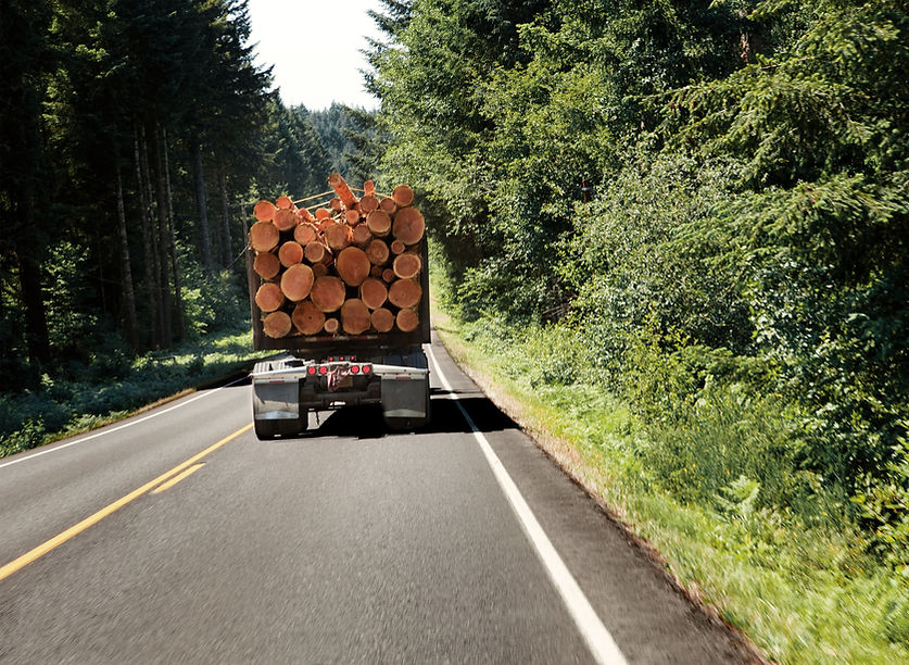 Truck of Logs