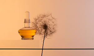 Exhibidor de frascos de perfume