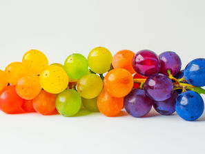 OPC – Das Kraftpaket der Natur: Wirkungsweise, Vorteile und Praxisbeispiele