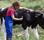 Tiergesundheit Nutztier; Foto: wix.com