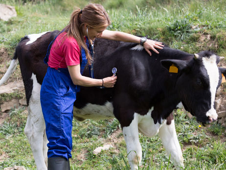 A ag-school student gets hands-on experience with a wide variety of agricultural components, including livestock.