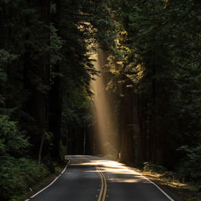 第75回 zen café 定例坐禅会 【ネガティブに生きよう】(松本市 中町蔵シック館開催&オンライン配信)