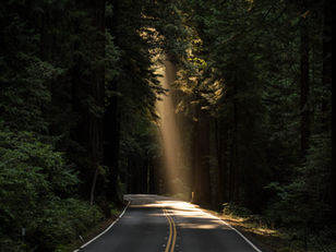 He Will Direct Your Path