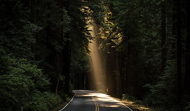 Lumière naturelle éclairant le chemin