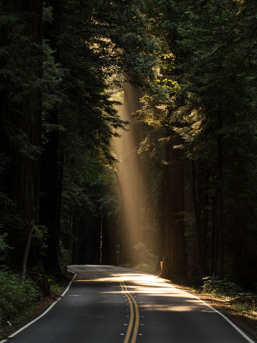 March 30th, 2023- First Quarter Leo