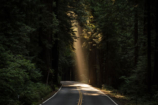 The Travelpreneur's Business Playbook