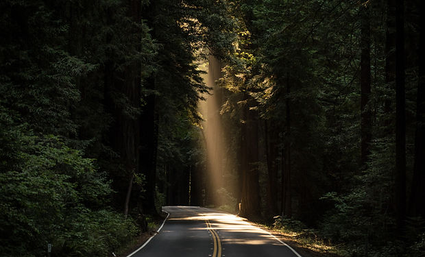 Forest Road