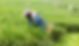 Farmer at Work