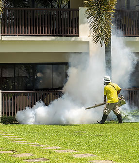 Fumigation in Progress
