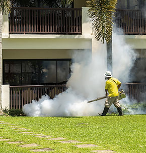 Lawn Spraying