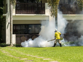 Infectologia: quais os sintomas da dengue?