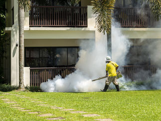 Lawn Spraying