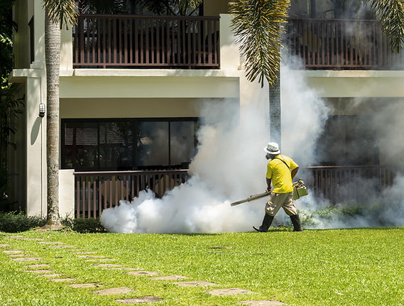 Fumigation in Progress
