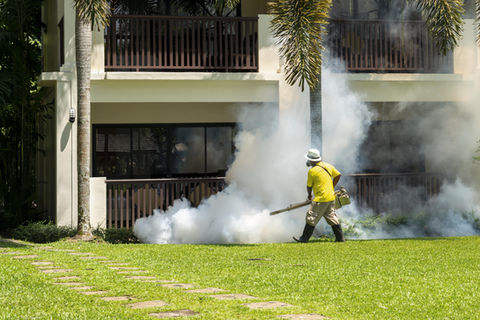 Lawn Spraying