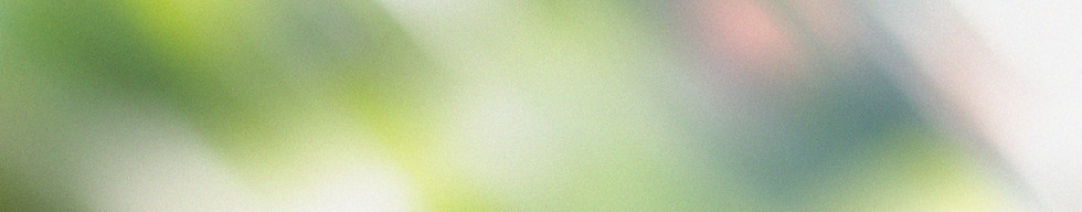 Fond vert flou