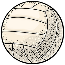 white volleyball