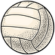 Illustrated Volleyball Design