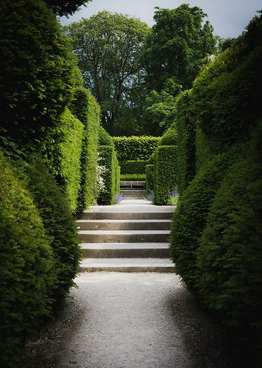 Garden Pathway View