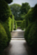 Allée du jardin vert