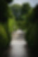 Grüner Gartenweg
