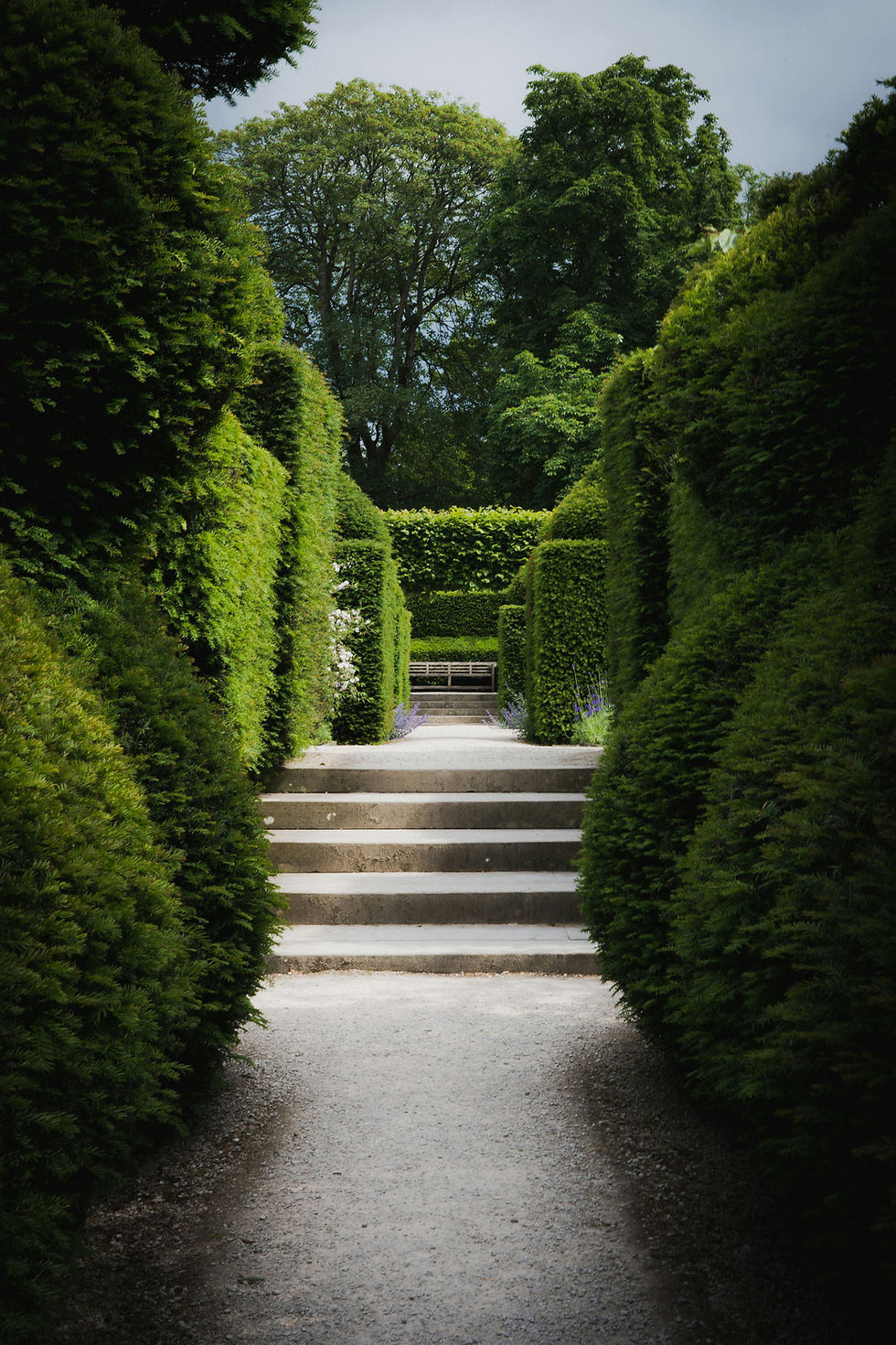 Groen tuinpad