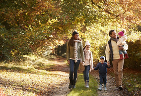Walk in the Park