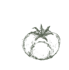 blue restaurant halal lille