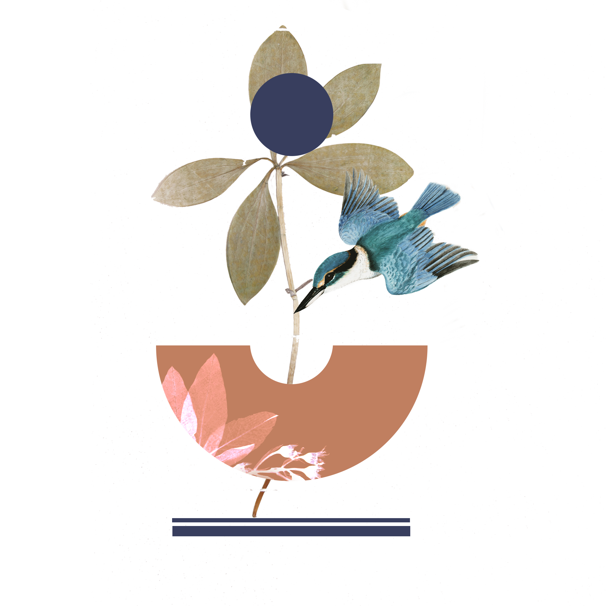 鳥と花