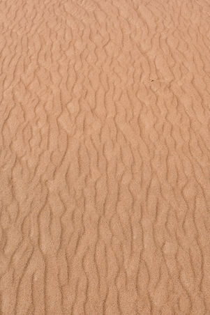 Textured Desert Sand