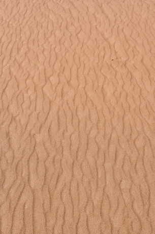 Textured Desert Sand