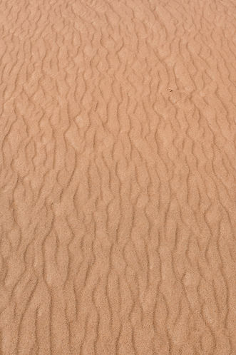 Textured Desert Sand