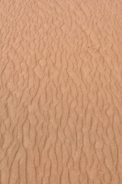 Textured Desert Sand