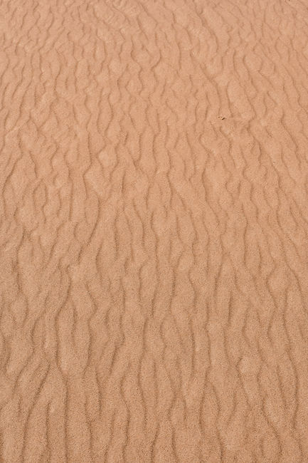 Arena texturizada del desierto