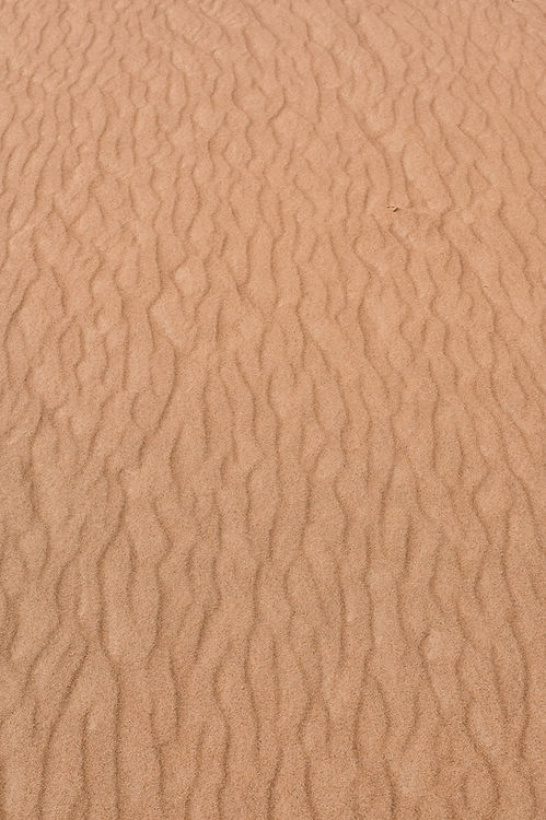 Textured Desert Sand
