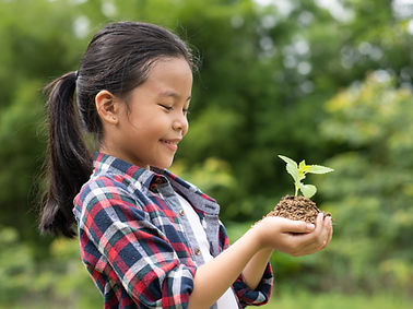 Tree Planting