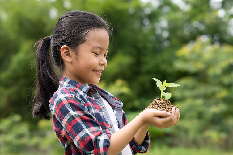 Tree Planting